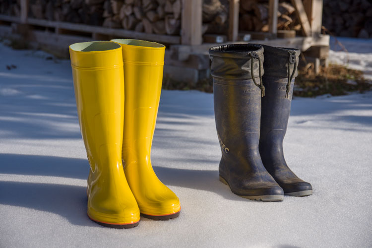 ザクタス : 自然観察な日々