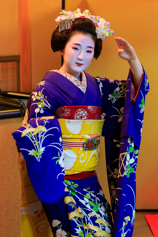 秋の宴（祇園東・雛菊さん、雛佑さん） : 花景色－K.W.C. PhotoBlog