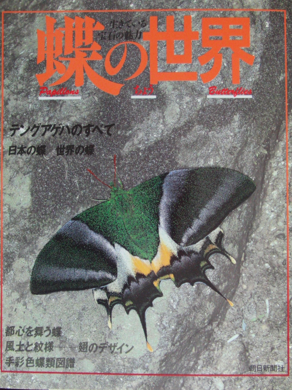 五十嵐 邁展 : 小畔川日記