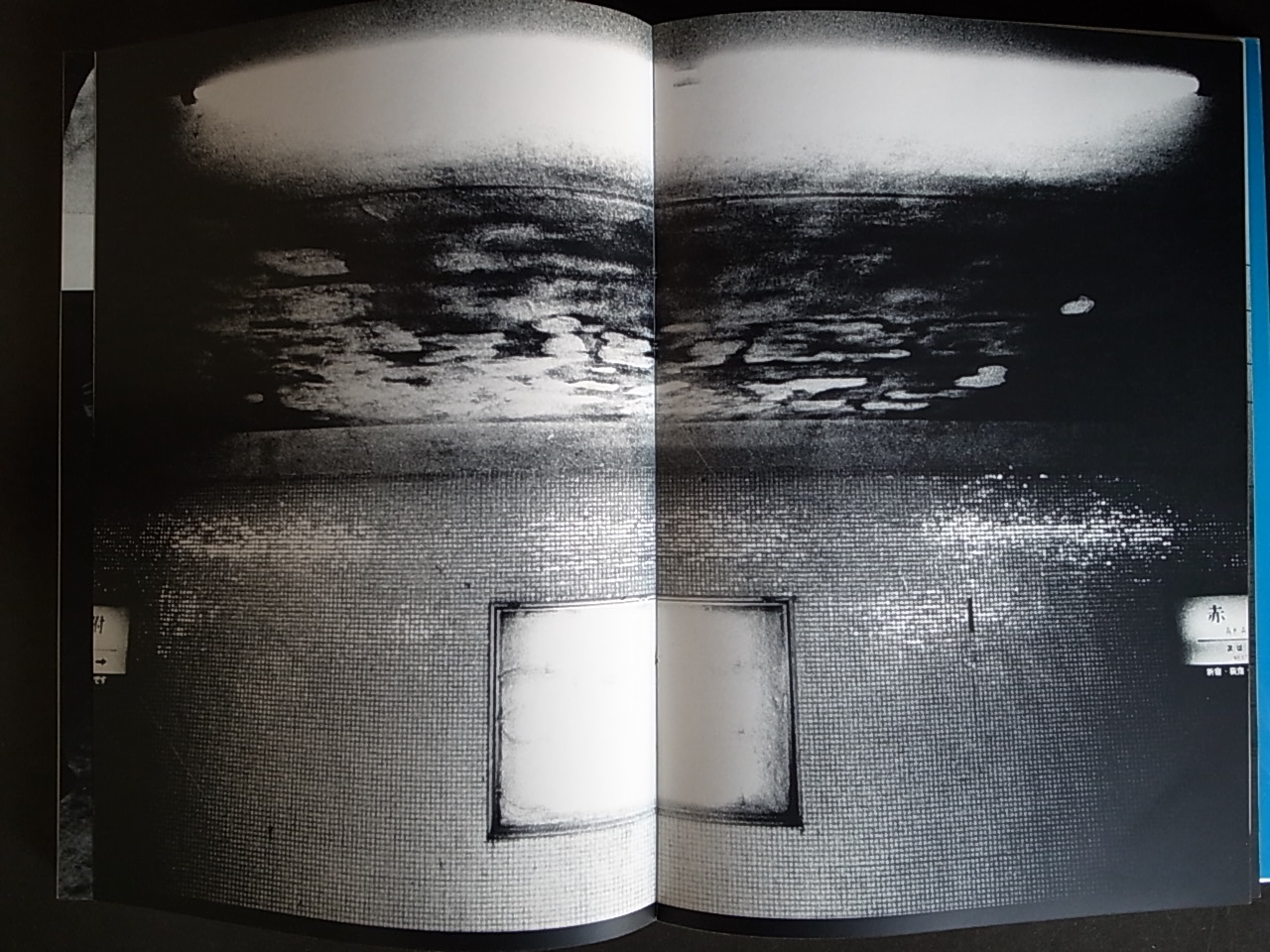 来たるべき言葉のために / 中平卓馬 : Books & Things