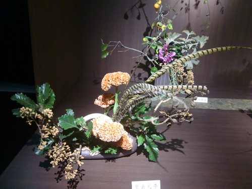 小原流いけばな展「空間・花」の珍品花材 : Spiritual