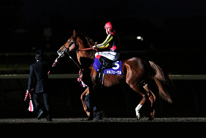 ユーキ オルフェーヴル 引退式額装写真 レース写真同梱 ユーキ様専用