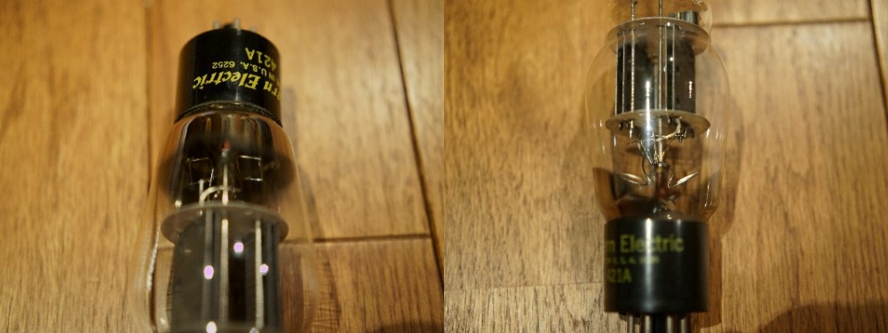 WE421Aと異母兄弟 : Studio Okamoto の 徒然日記