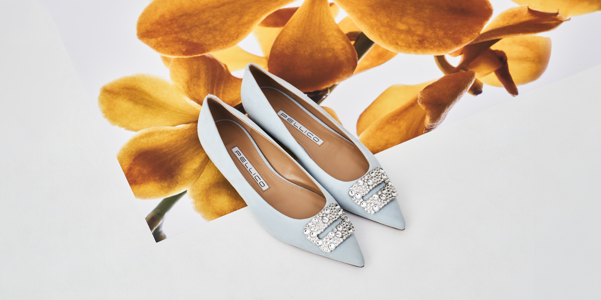 Seasonal colors “ANELLI FIBBIA” | PELLICO｜ペリーコ