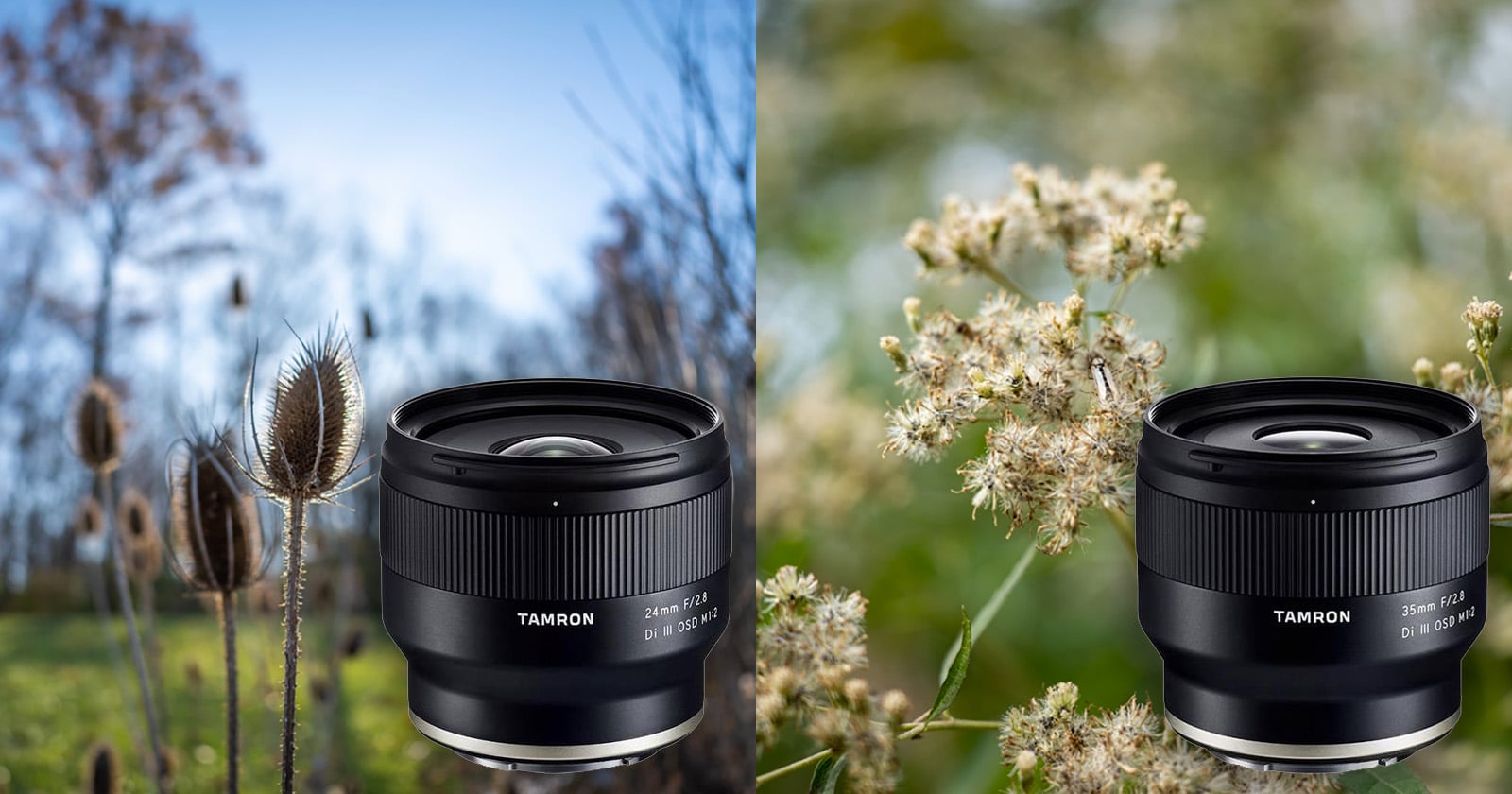 Tamron 24mm f/2.8 and 35mm f/2.8 Review: Compact & Affordable