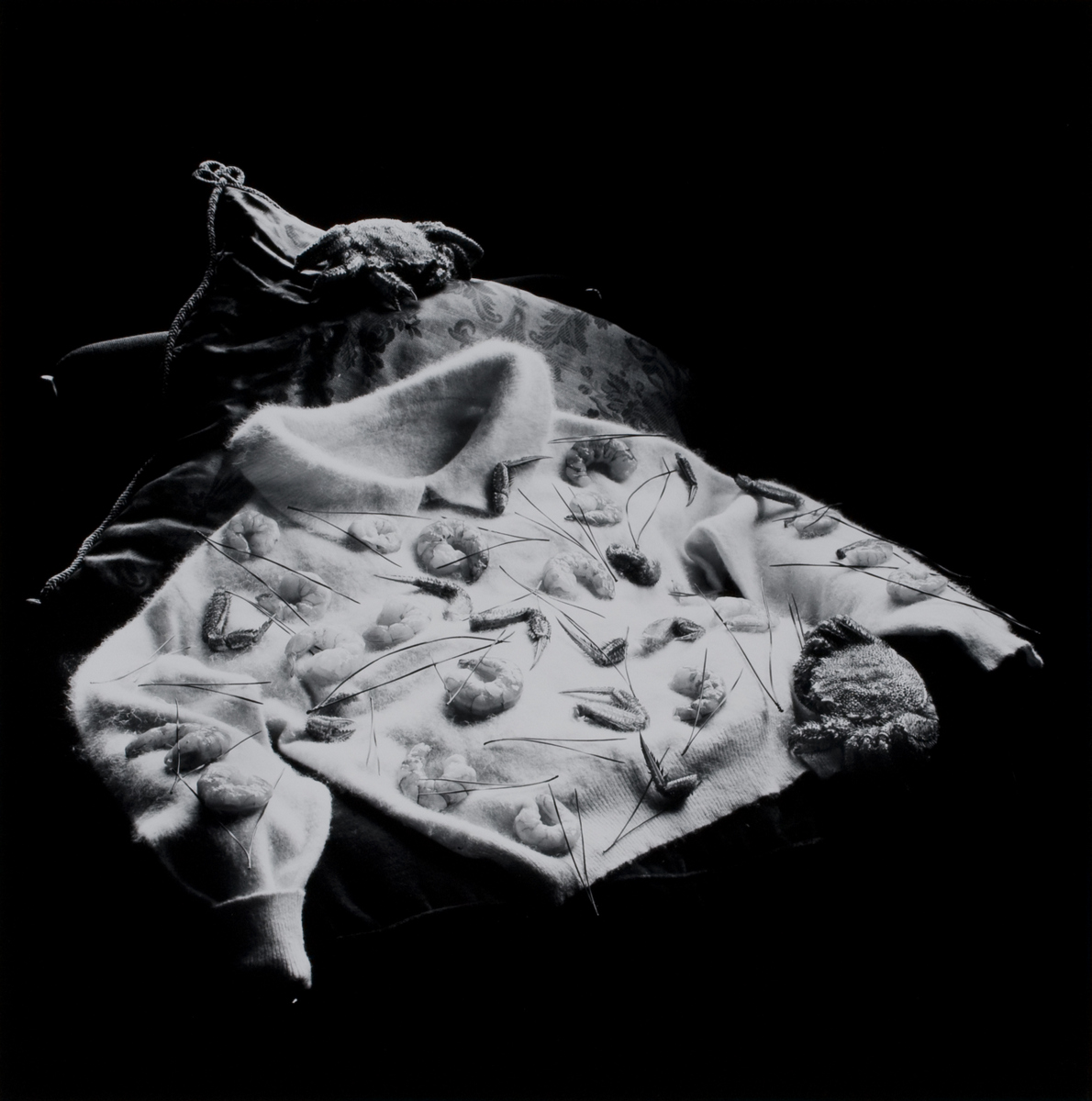 受賞作家名: KON Michiko – 今 道子 | 東川町国際写真フェスティバル