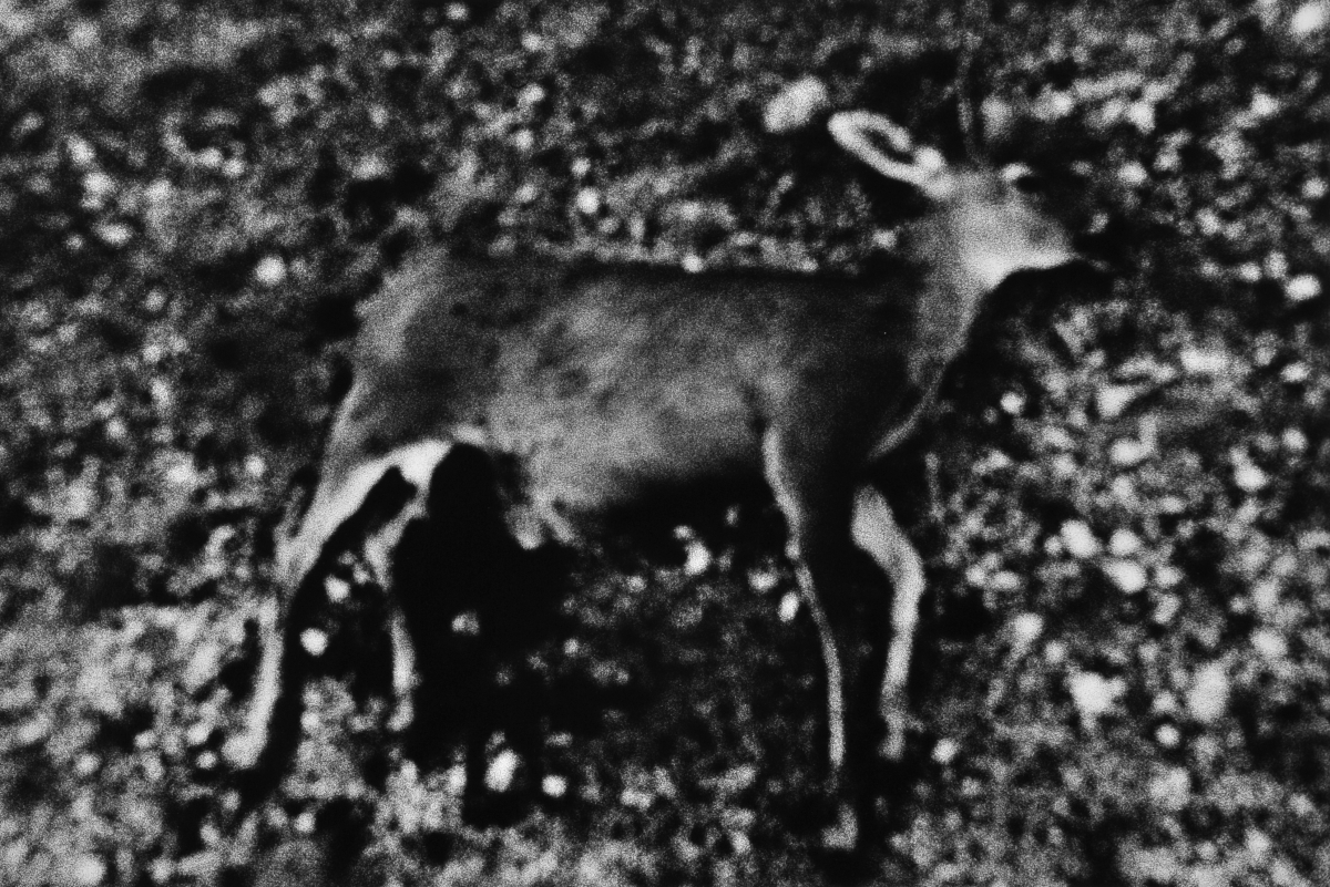 受賞作家名: Antoine D'agata – アントワーヌ・ダガタ | 東川町国際