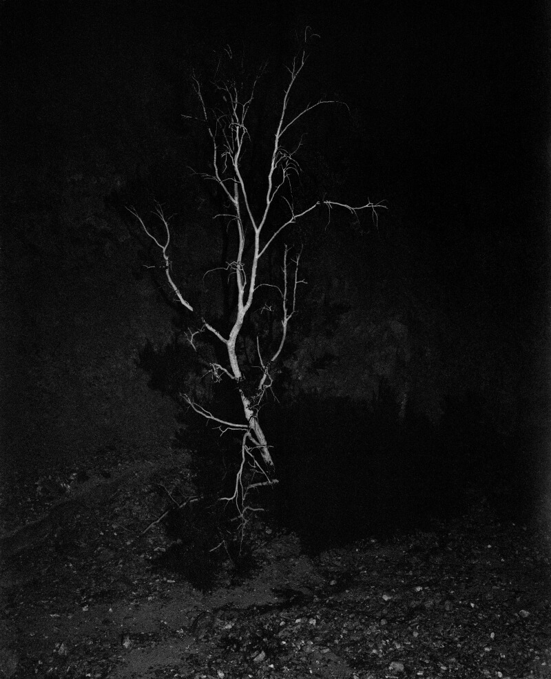 Coley Brown / A Recurring Dream