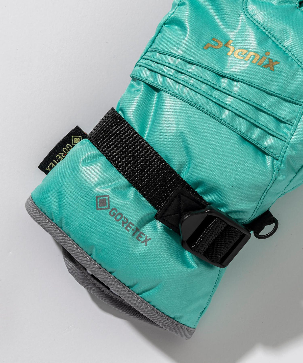 MENS】 Phenix GORE Gloves フェニックスゴアグローブ /phenixスキー