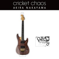 AKIRA NAKAYAMA】「cricket chaos」ギターアクリルスタンド ＜ J-ROCK