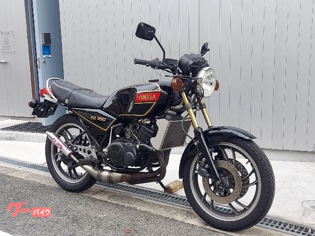 ヤマハ RZ250 K2テックチャンバー ダブルディスク マーシャル