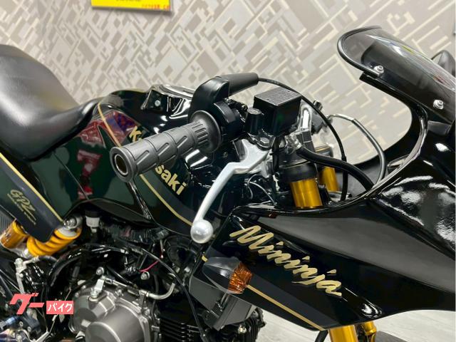 カワサキ Z125PRO ワンオーナー GPZ外装キット BEET