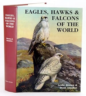 Eagles Hawks and Falcons of the World by Amadon Brown - AbeBooks