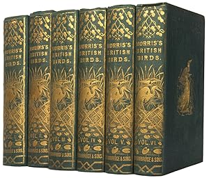 ア*リ様 ☆英国鳥類図鑑 モリス A History of British Bi ☆英国鳥類