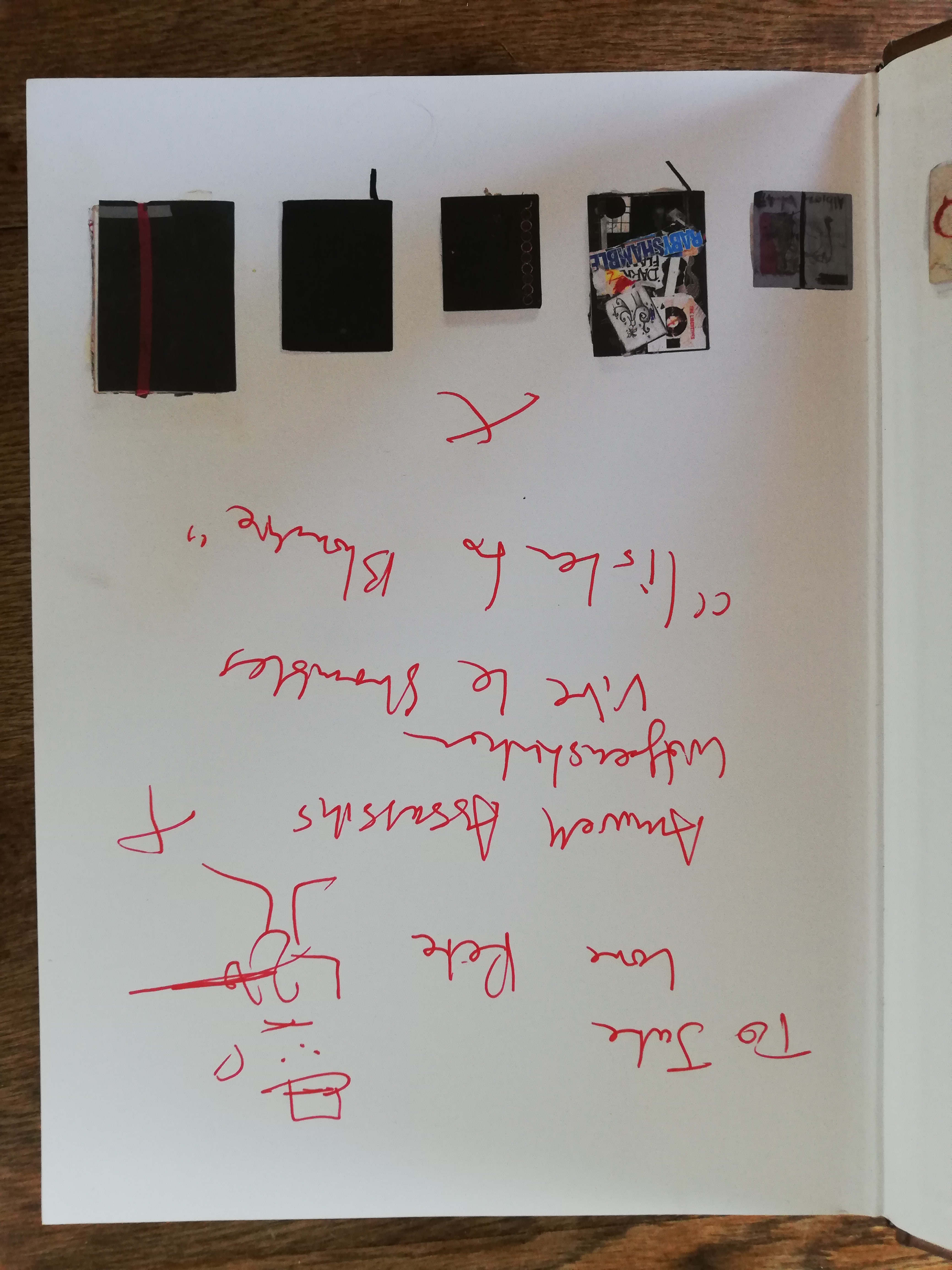 The Books of Albion - The Collected Writings of Peter Doherty. by