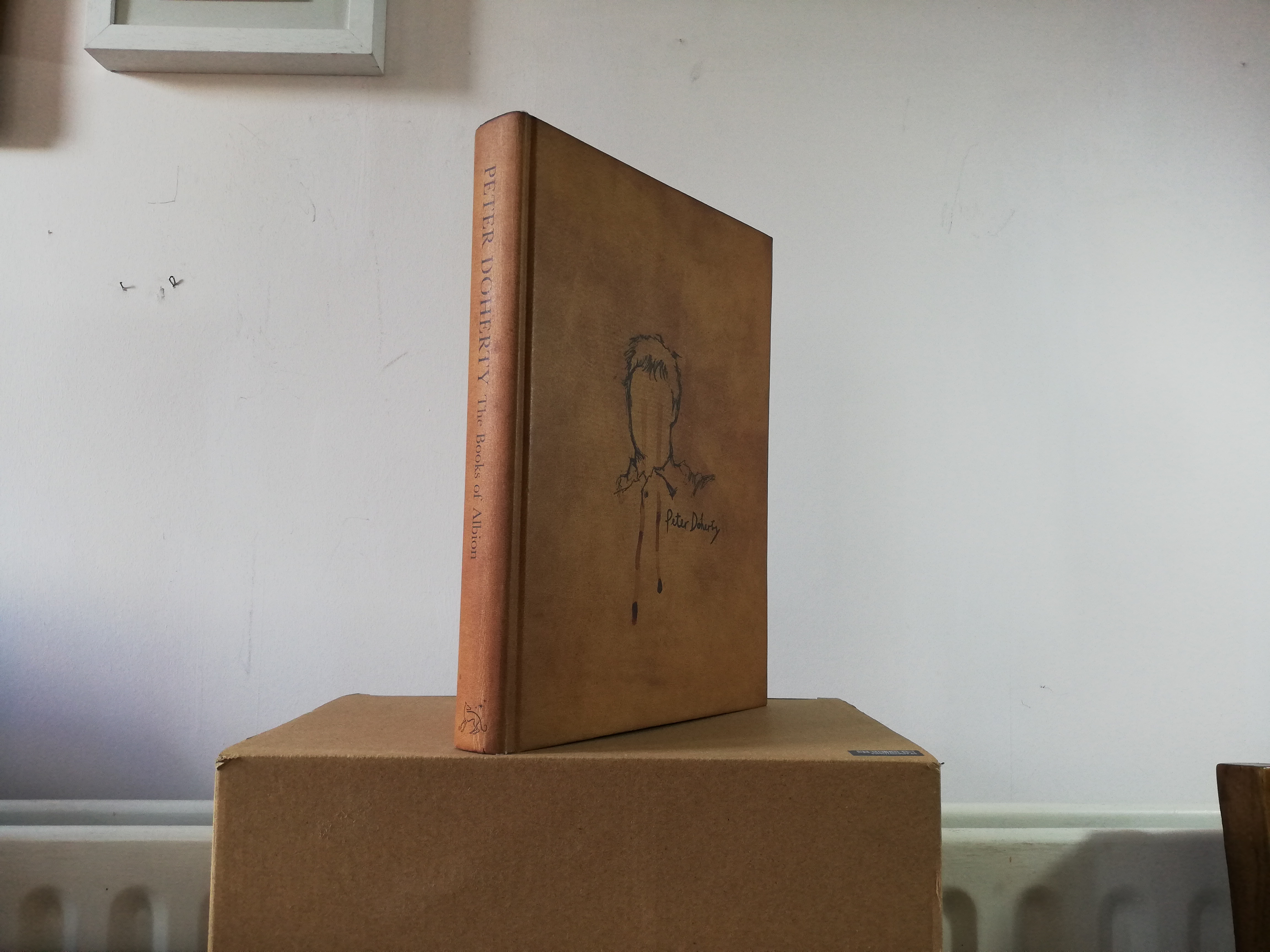 The Books of Albion - The Collected Writings of Peter Doherty. by