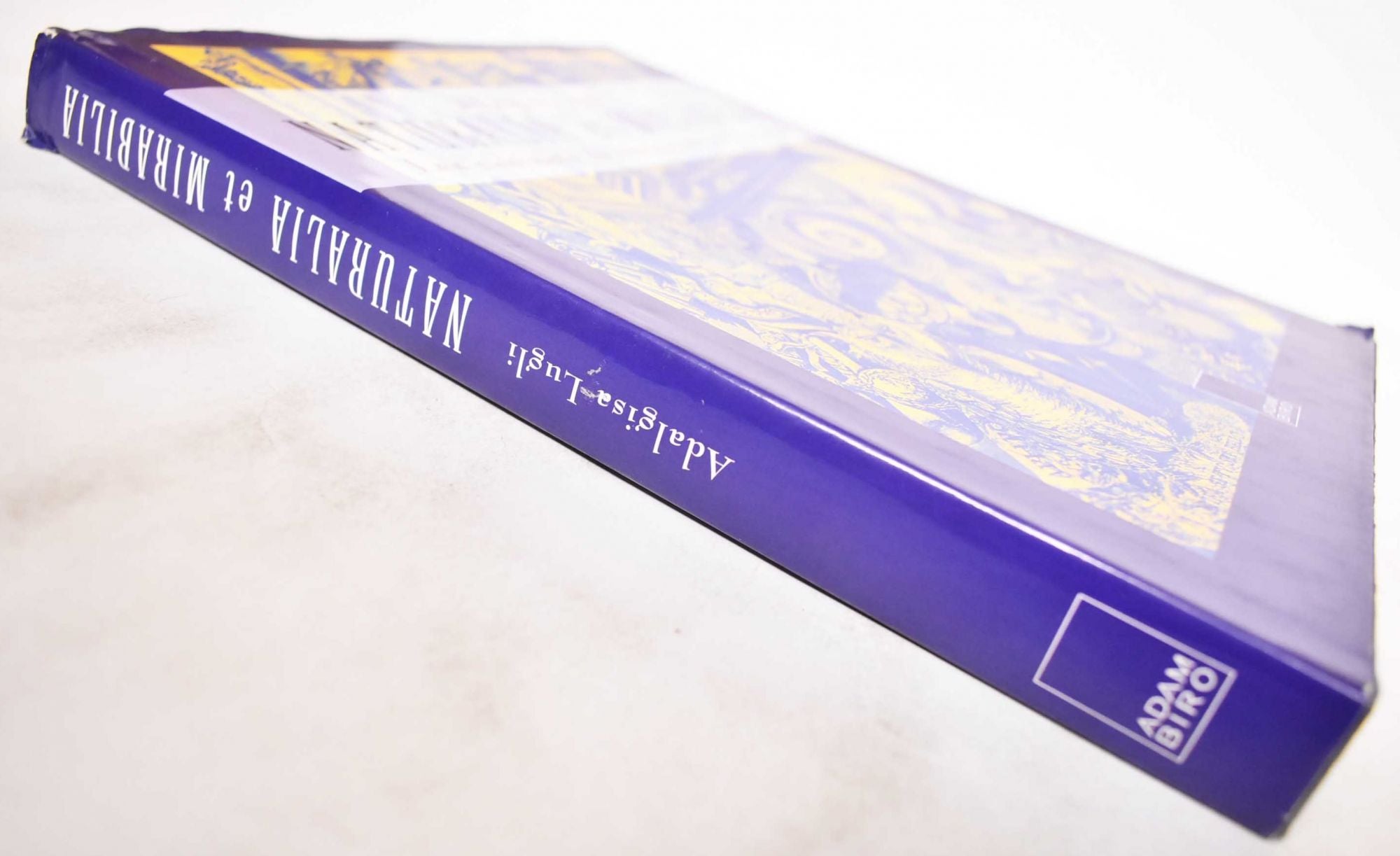 洋書 Naturalia et mirabilia Adalgisa Lugli 洋書 Naturalia et