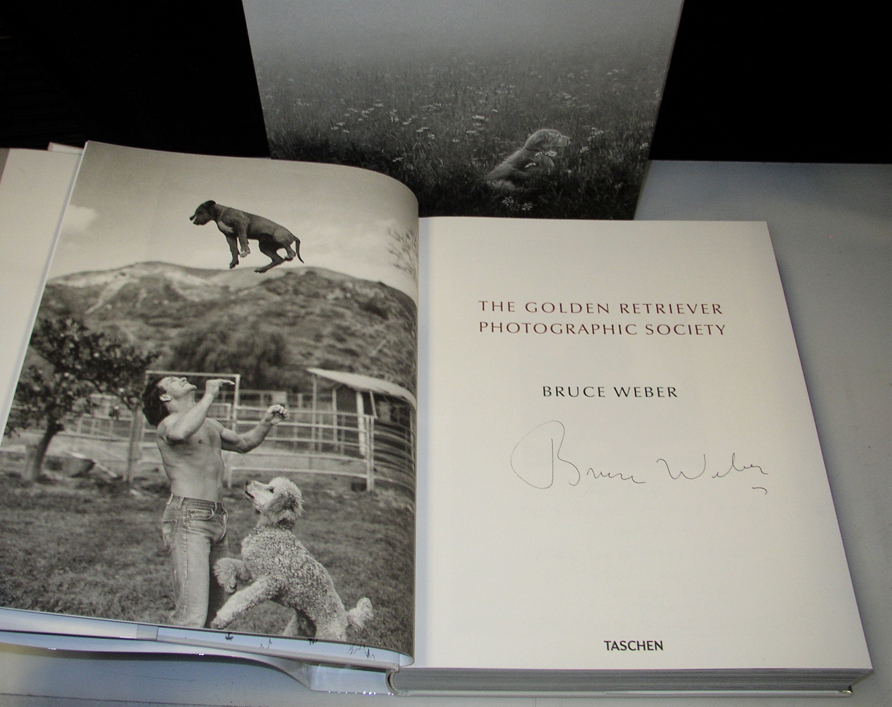 Bruce Weber. The Golden Retriever Photographic Society by Bruce