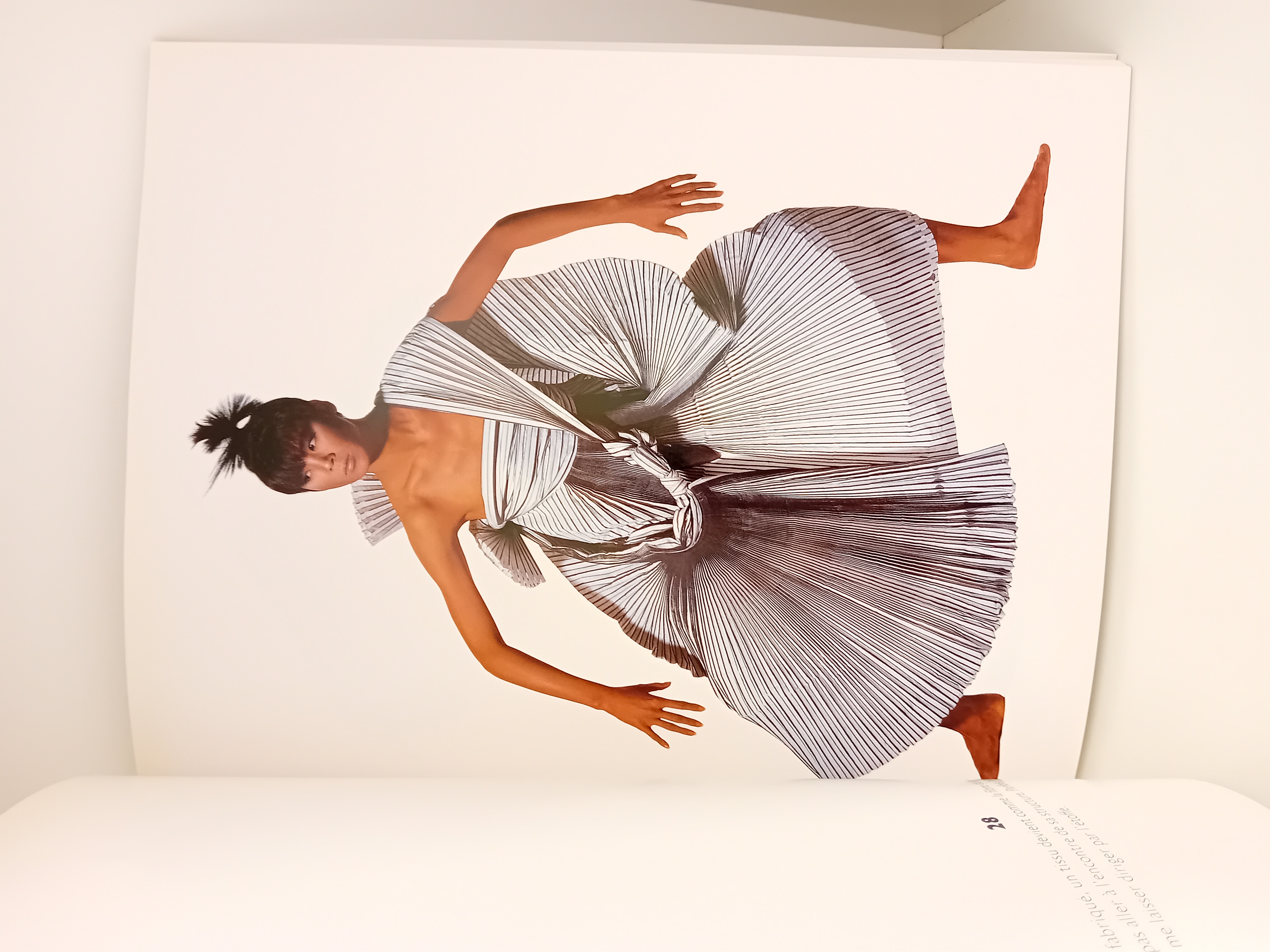 ISSEY MIYAKE BY IRVING PENN 世界で3000冊限定レア ISSEY MIYAKE BY