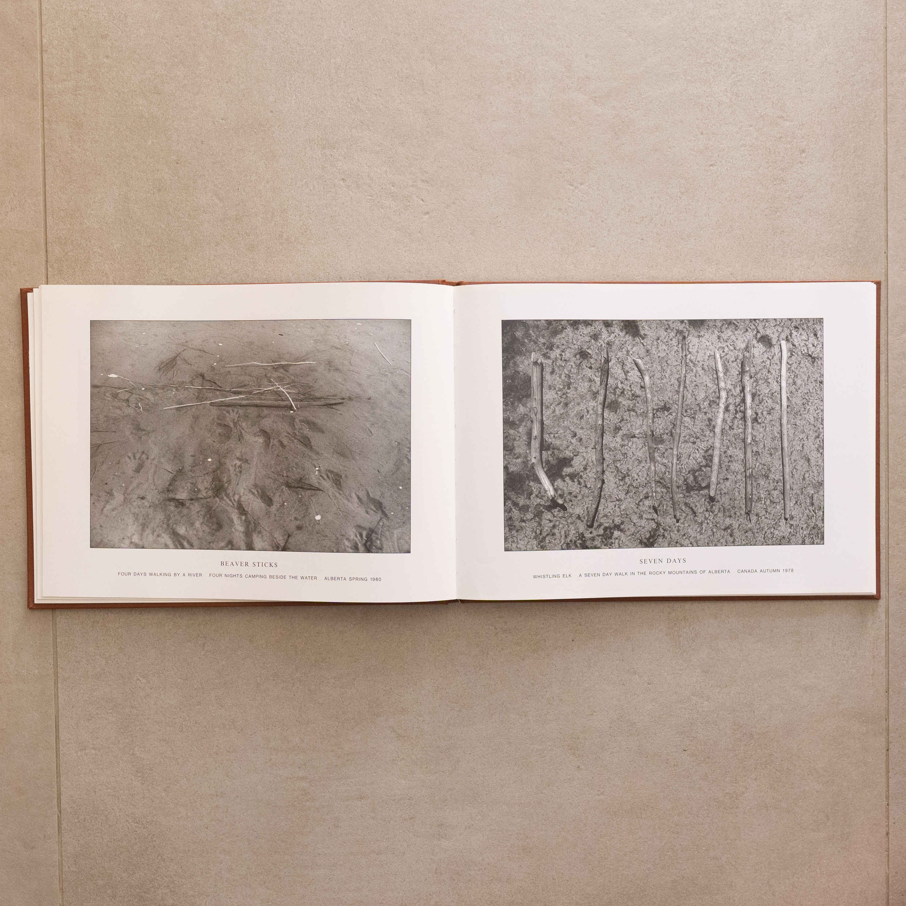 Camp fire by Hamish Fulton: ottimo Brossura (1985) prima edizione