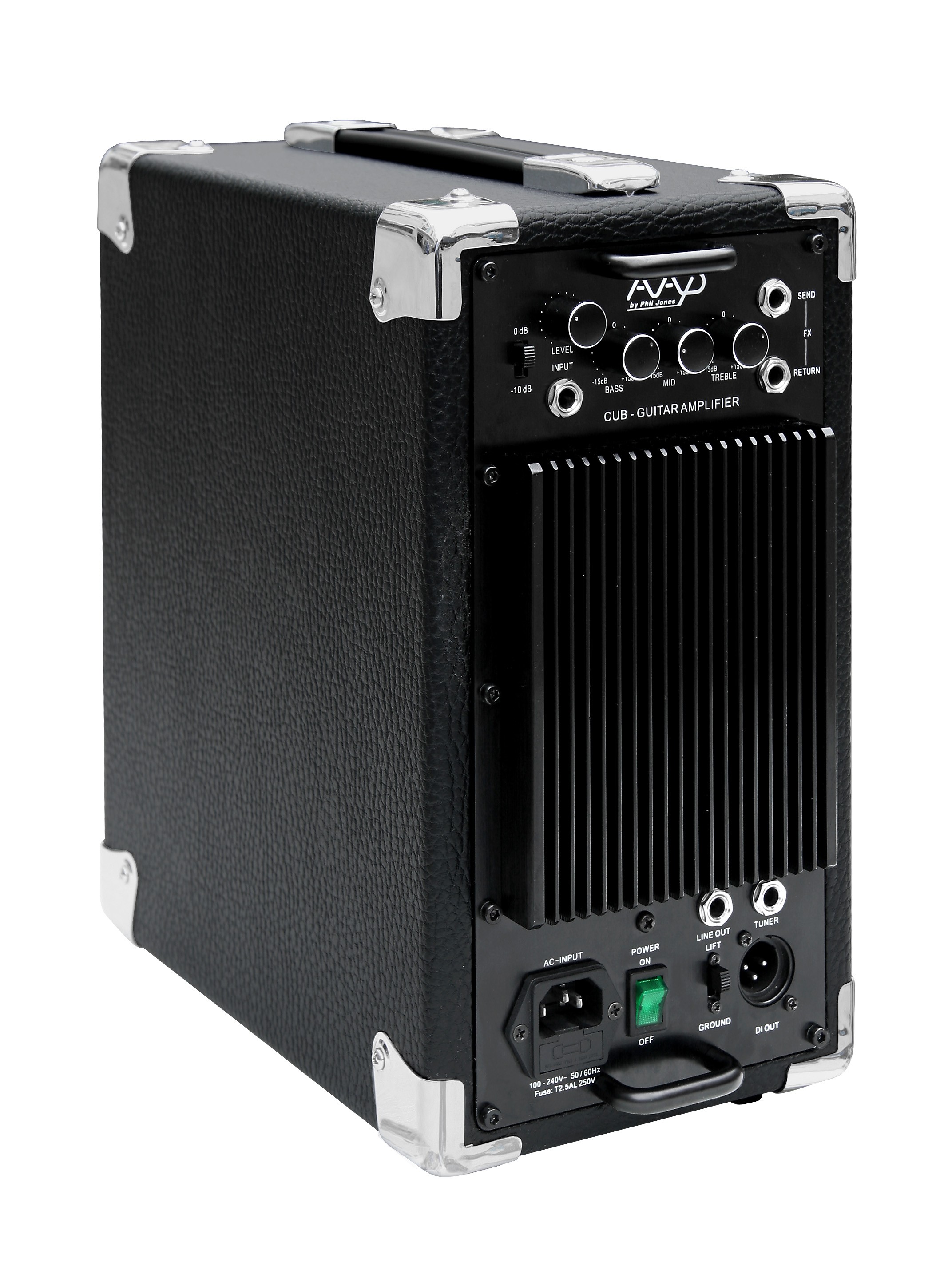 CUB AG-100 Acoustic Guitar Amplifier (BLACK FINISH) – Phil Jones Bass