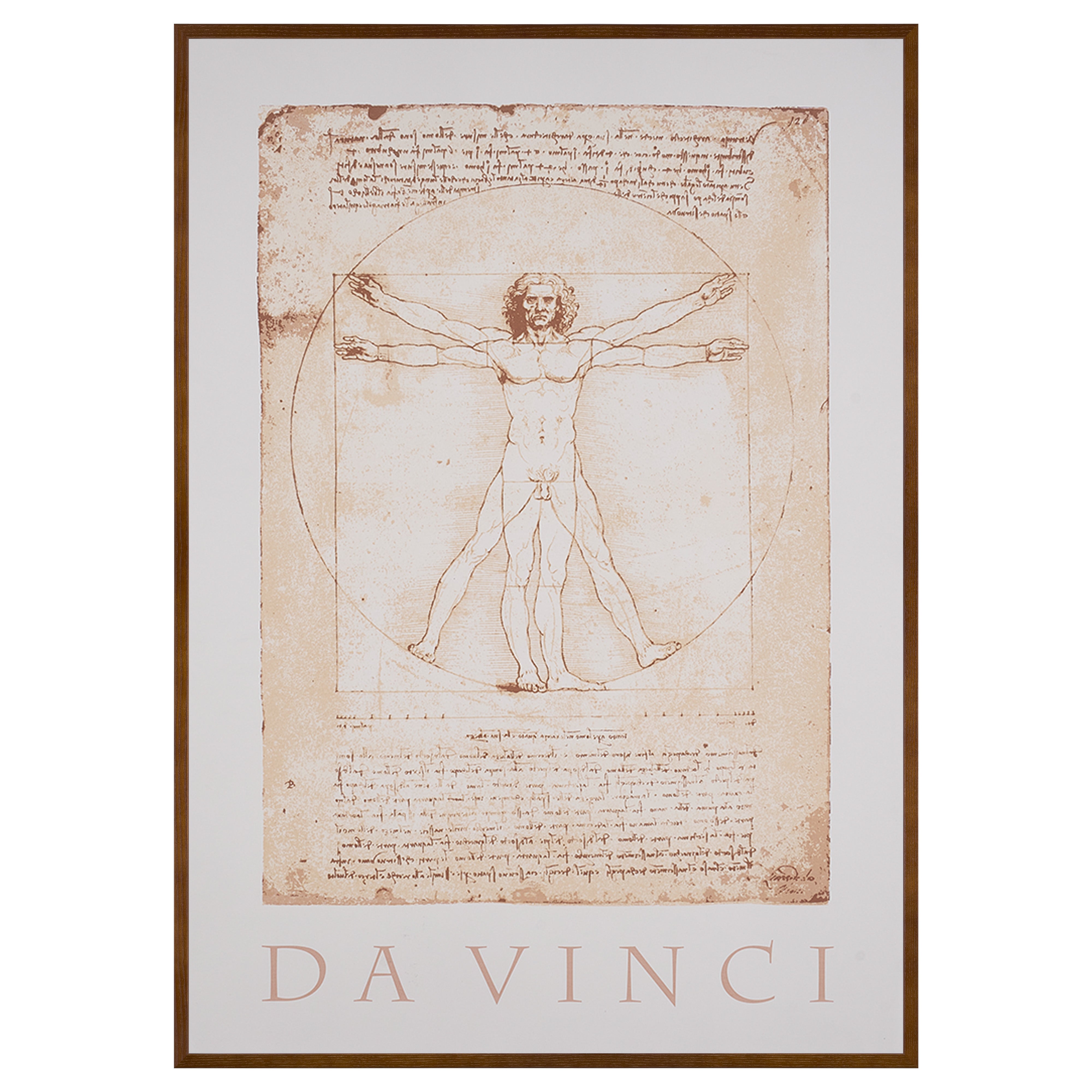 Leonardo da Vinci / レオナルド・ダ・ヴィンチ