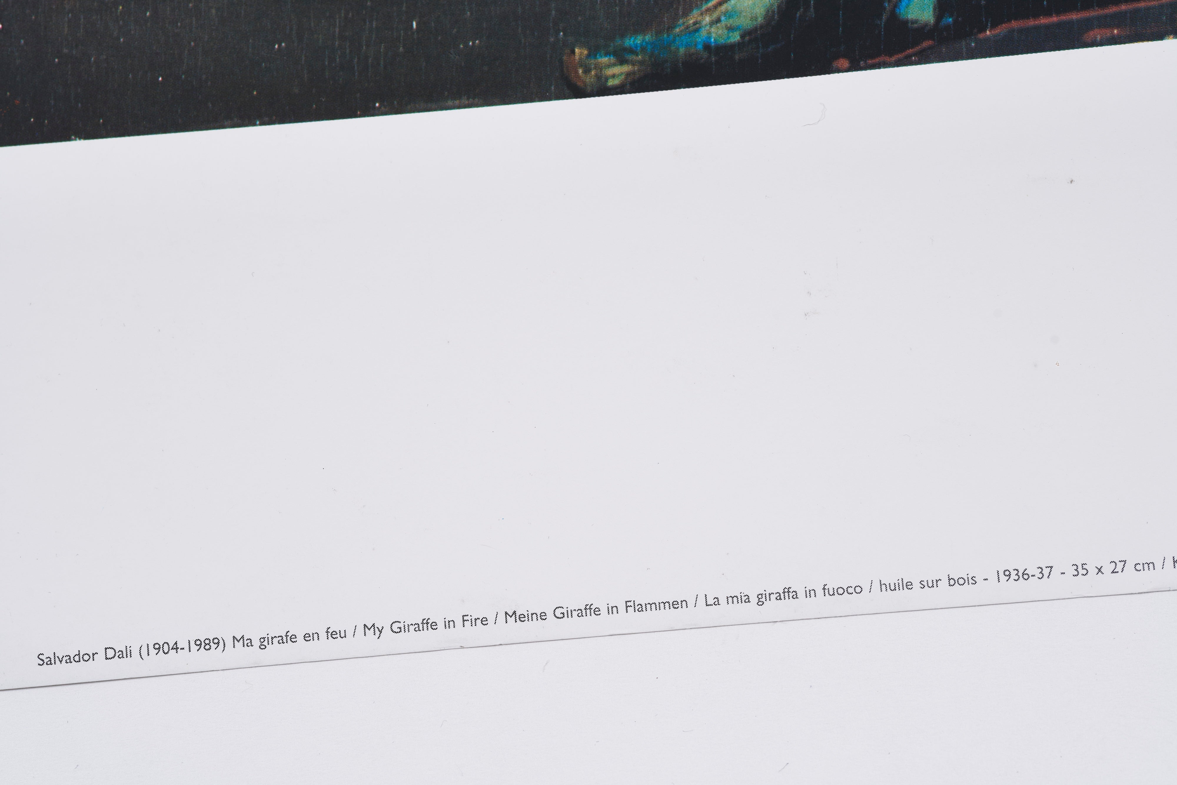 限定10枚】Girafe en feu 1936-1937 - Nouvells Images 1995