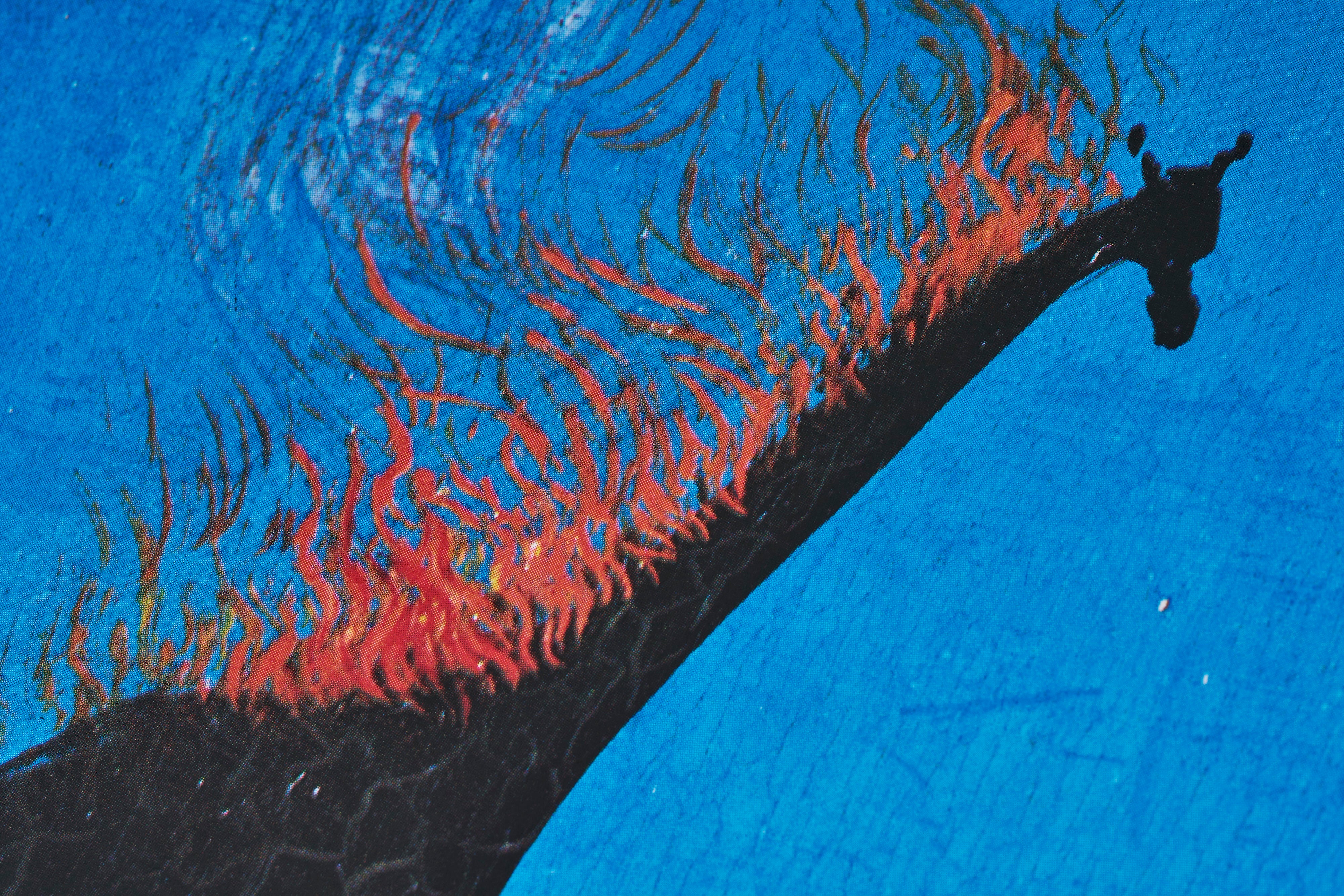 限定10枚】Girafe en feu 1936-1937 - Nouvells Images 1995