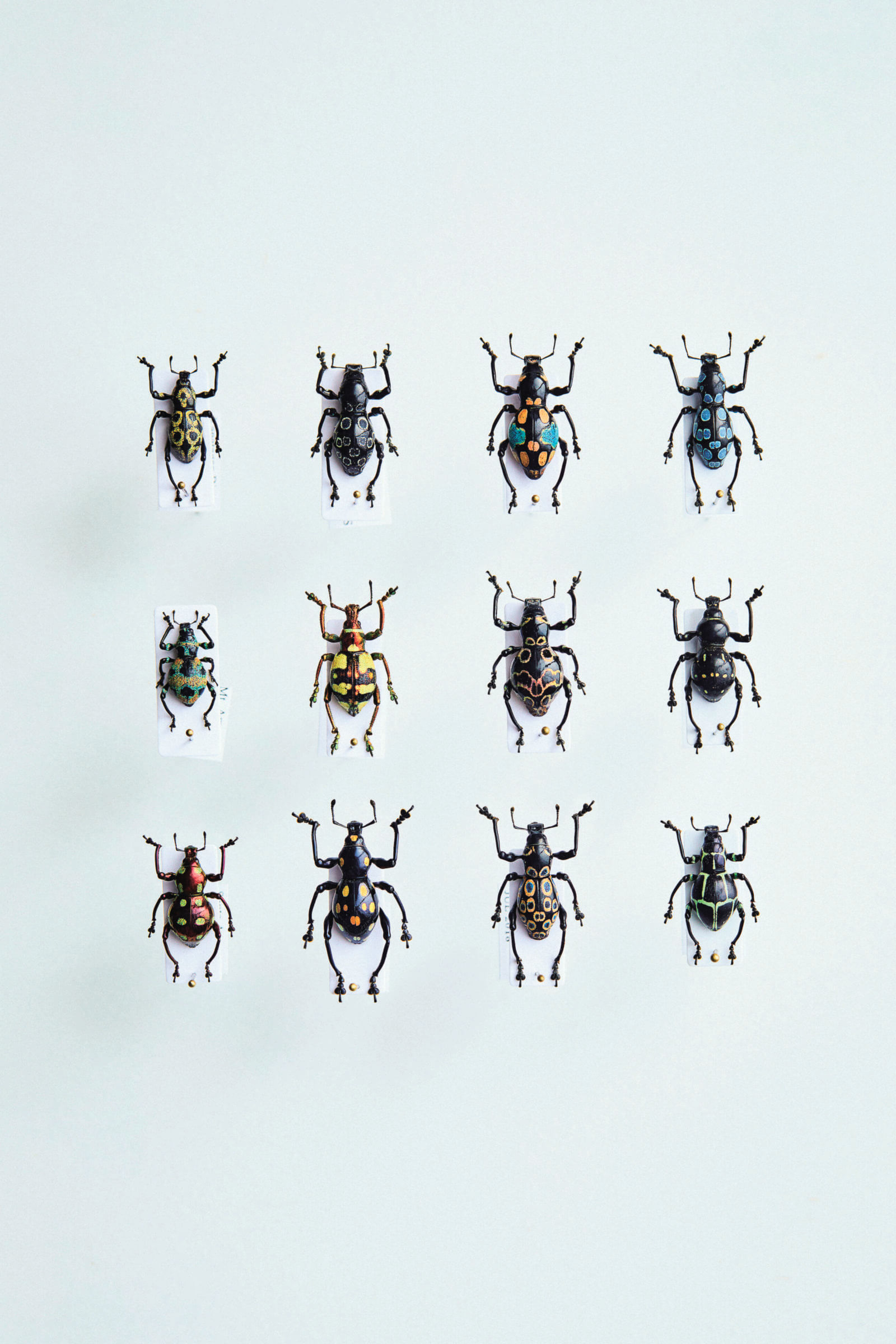 ひょうたん型の体に鱗片で美しい模様が描かれた、宝石のような