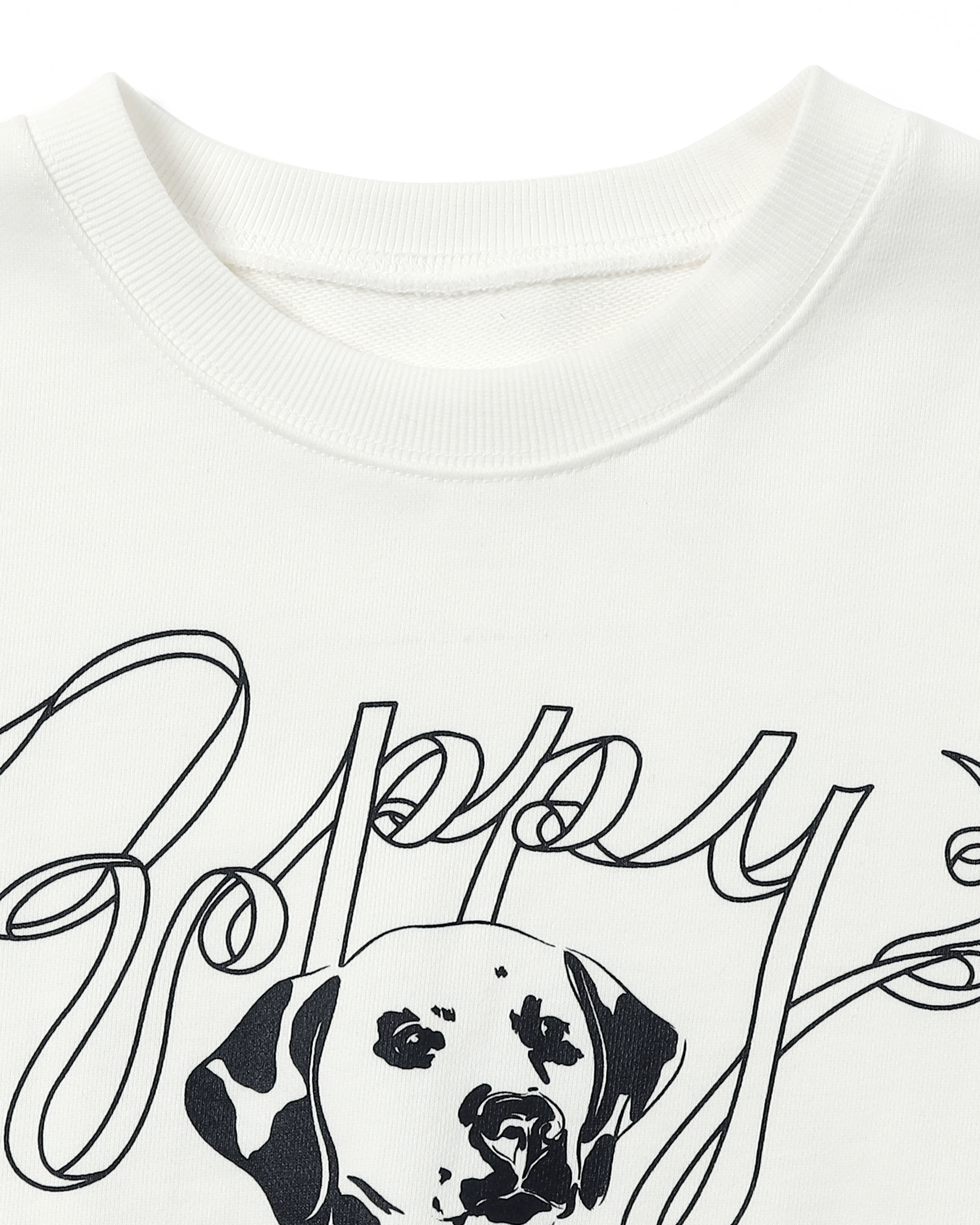 Dalmatian sweatshirt