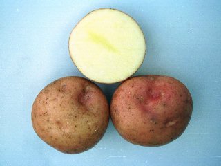 ジャガイモ博物館，疫病減無農薬栽培，はなしべつ,花標津