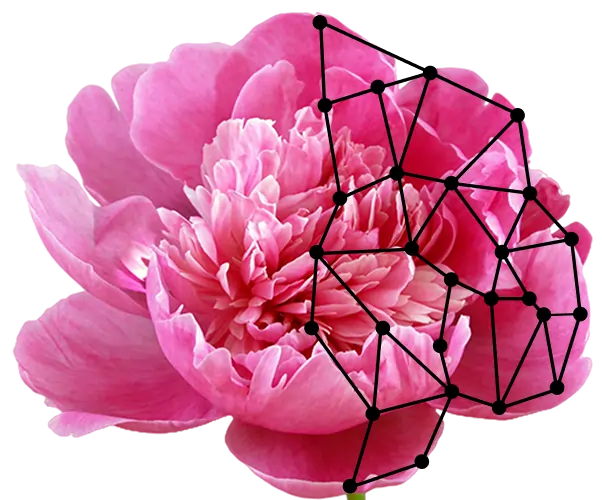 PlantSnap - Plant Identifier App, #1 Mobile App for Plant