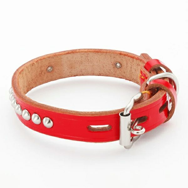 手縫平首輪中一 36mm レッド | ペティオ オンライン ショップ本店