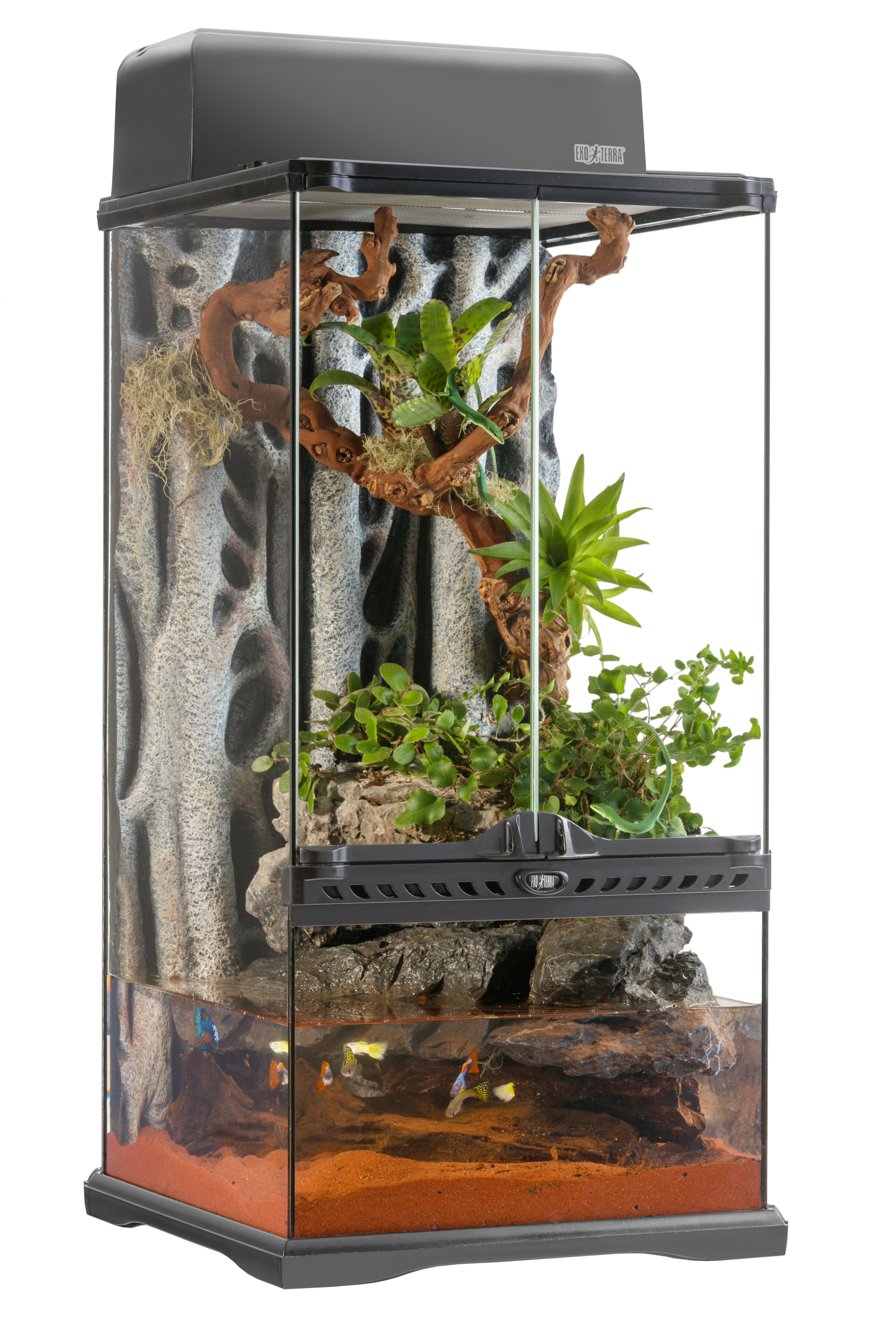 グラステラリウム3060 PT2595 | ジェックス株式会社