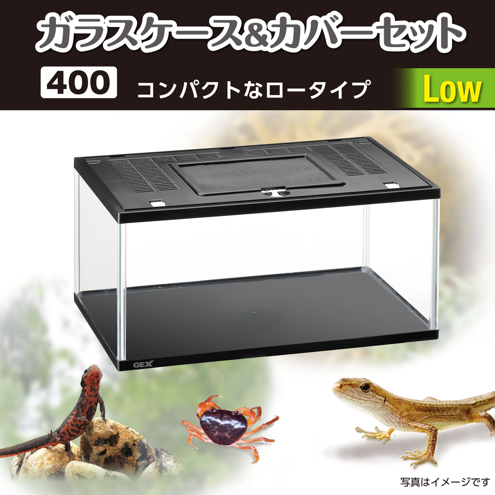 ガラスケース&カバーセット 400Low | ジェックス株式会社