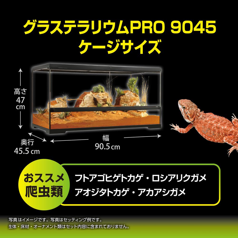 グラステラリウムPRO9045 PT4412 | ジェックス株式会社