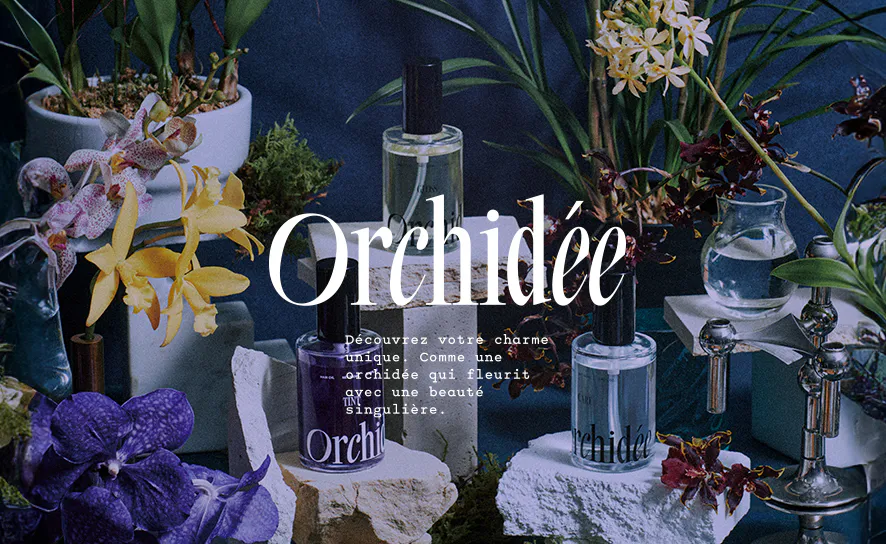 Maison Orchidée (メゾンオルオルキデ)