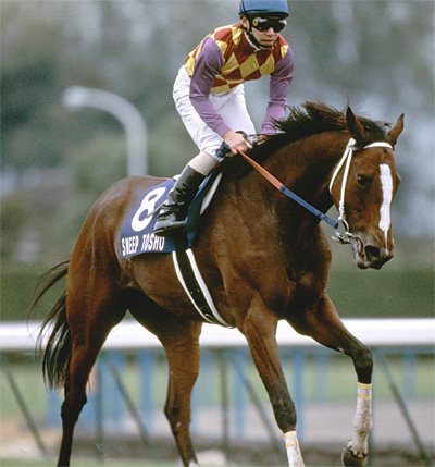 未来に語り継ぎたい名馬 JRAレーシングビュアー