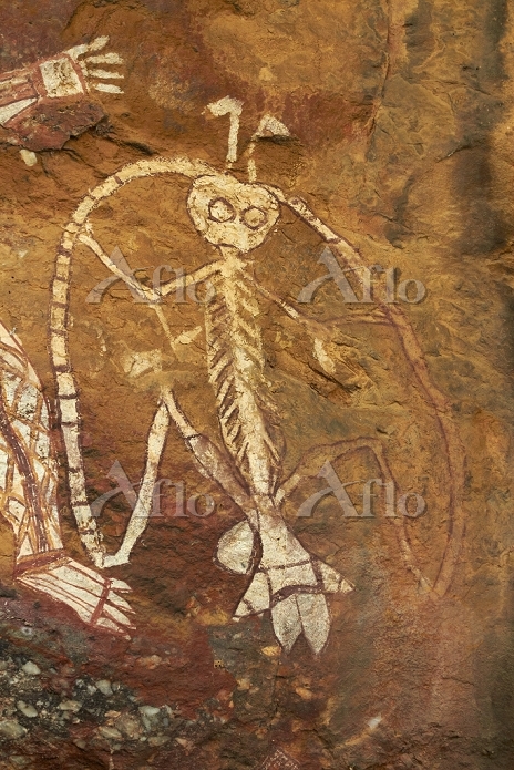 オーストラリア アボリジニの岩絵 [15009467]の写真素材 - アフロ