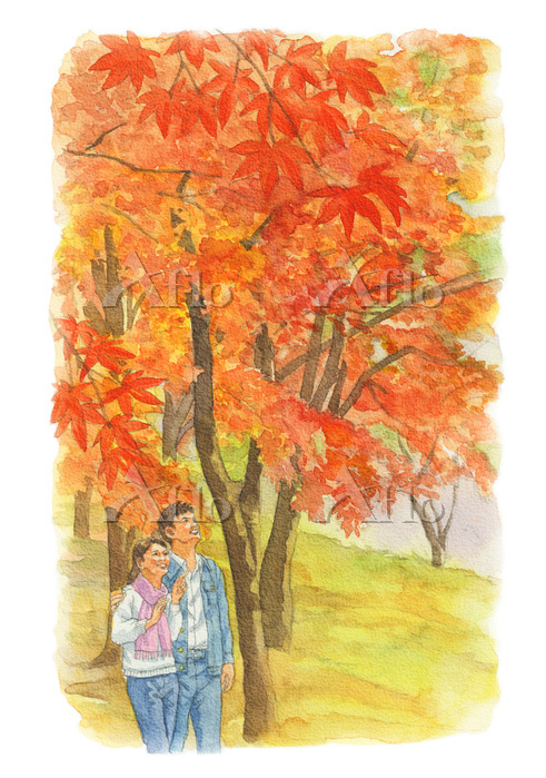 紅葉狩りをするカップル [22897814]のイラスト素材 - アフロ