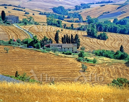 イタリア トスカーナ州 田園風景 [34109827]の写真素材 - アフロ