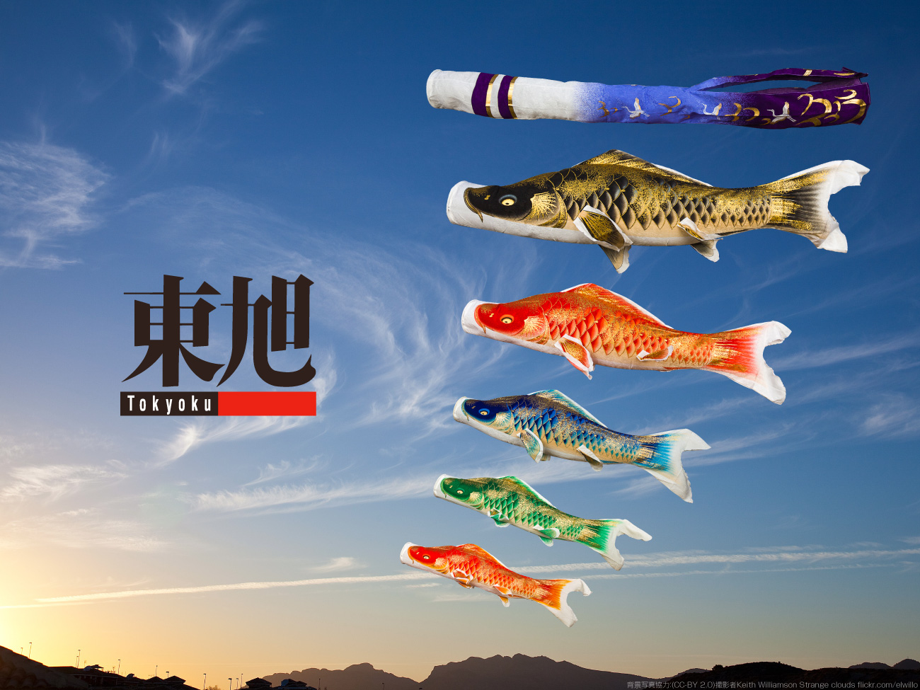 鯉のぼりメーカー「東旭」について – コンパクトでおしゃれな雛人形