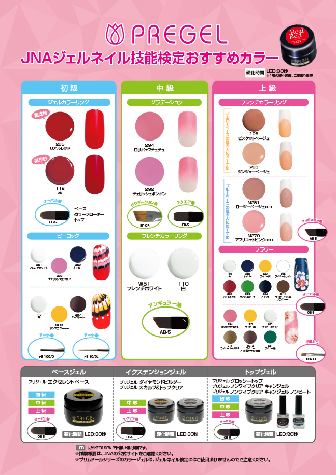 JNA公式教材セット ネイリスト検定DVD付き 初級〜上級 JNA公式教材