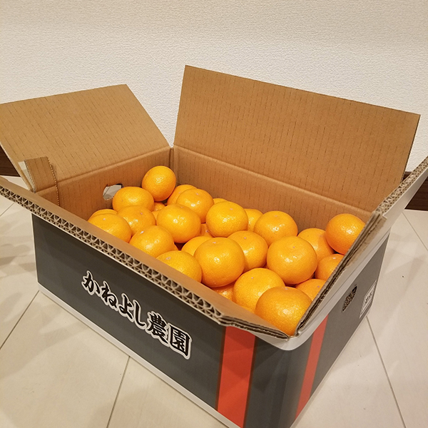 早生みかん(温州みかん宮川早生) | プレミア和歌山