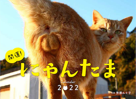 ご立派なにゃんたまで新年の福招き ご利益ありそうな「にゃんたま