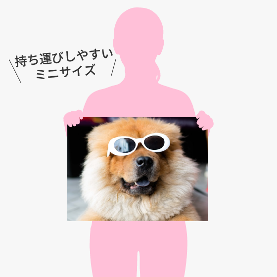 オリジナルブランケット(ひざ掛け)の作成が1枚からできます。全面