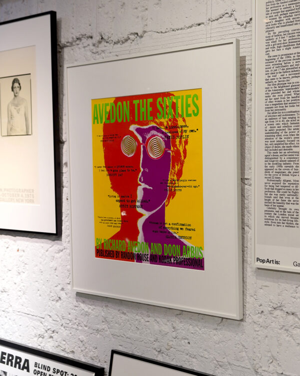 Avedon Baldwin ｜Richard Avedon 値下げしました 60年代のアメリカが