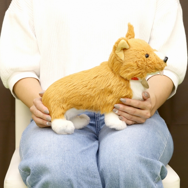 放送20周年『カウボーイビバップ』より、アインのぬいぐるみ、本革パス