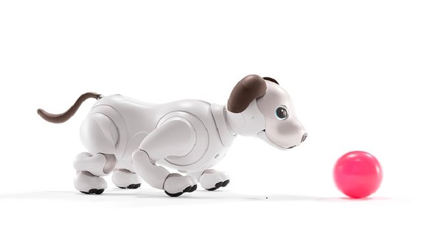 aiboの法人向けレンタルサービスを11月17日から開始 | ソニー