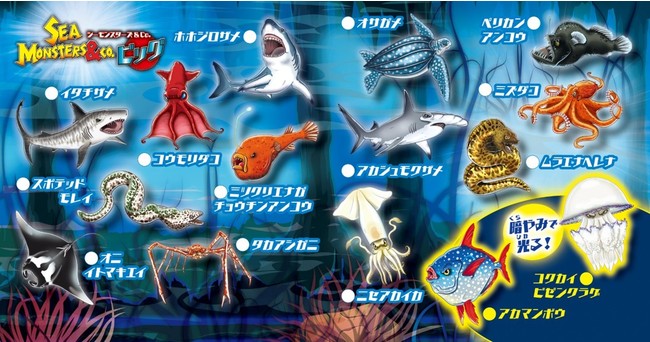 世界で4,000万個販売の『&Co.』シリーズ！第4弾発売『シー